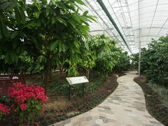 -歌斐颂巧克力小镇