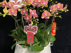 -拾花记花艺·求婚·订婚·生日布置(高新店)