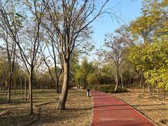 -绿堤公园