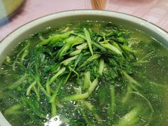 生态鸡毛菜-西新饭店(城中店)