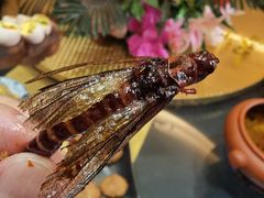 -昆虫窝子·特色云南菜(拓东路总店)