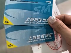 -龙阳路磁悬浮列车总站-停车场