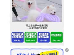-瑞虹新天地月亮湾