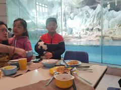 -帝企鹅自助餐厅•儿童岛•真企鹅(长隆企鹅酒店)