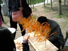 -上海鲜花港
