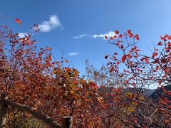 -周口店坡峰岭风景区