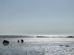 -辽宁团山国家级海洋公园