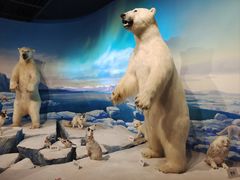 -陕西自然博物馆