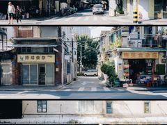 -溪岸路花鸟市场