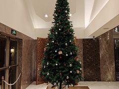 -浙江安吉JW万豪酒店·万豪中餐厅