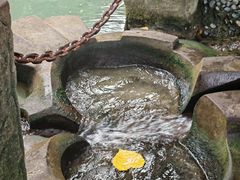 -成都市活水公园