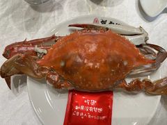 -披云山庄
