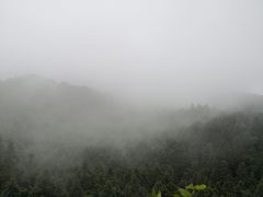-阿依河景区