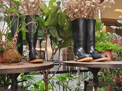 -PlantsEatery·植物食堂(REX春熙店)