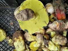 android_upload_pic-陈记牛肉馆(尚文书店店)