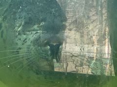 -北戴河圣蓝海洋公园