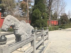 -洛阳白马寺
