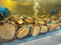 -盛宴标帜西餐厅龙虾.鲍鱼•牛排(重庆喜来登大酒店)