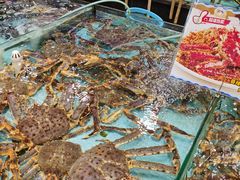 -渔民新村(番禺总店)