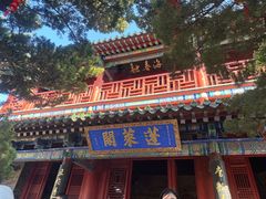 -蓬莱阁景区