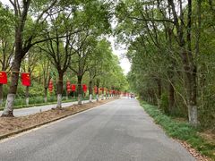 -上海海湾国家森林公园