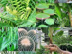 -国家植物园南园