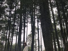 -石棉县孟获城