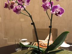 -西郊庄园丽笙大酒店-丽清轩中餐厅