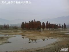 -塔川景区