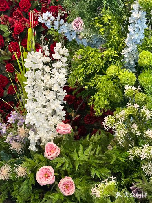 长春青怡坊鲜花批发(青怡坊花鸟市场店)图片