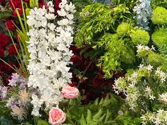 -长春青怡坊鲜花批发(青怡坊花鸟市场店)