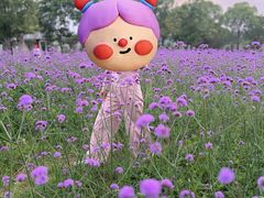 -花博汇(知音花月夜)
