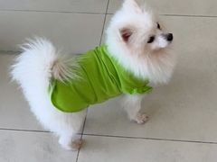 -怪兽屋·羊驼·猫咖·狗咖(俊华广场店)