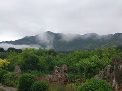 -梨木台悦来客农家院