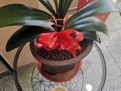 -招商银行(武汉积玉桥支行)