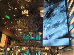 -桂满陇·海市蜃楼·黑金(国金店)