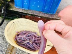 -新享乐海鲜(翠华路店)