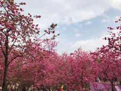 景点-昆明动物园