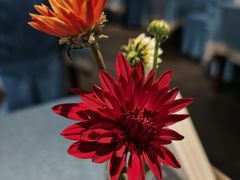 -La Medina餐厅(亮马河南路店)