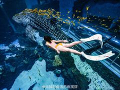 -成都浩海立方海洋公园
