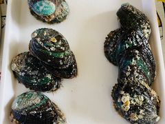 -大连海鲜斑鱼火锅(安平店)