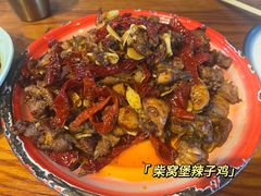 -柴窝堡22号辣子鸡·传承新疆菜