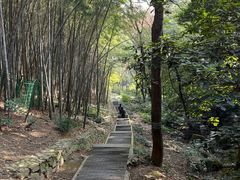 -穹窿山景区