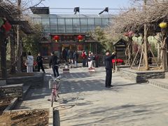 -春满园生态餐厅(南宫路店)