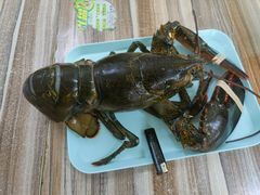 -强记龙虾钳(定安里店)