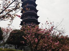 -重庆园博园