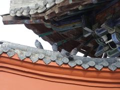 -洛阳白马寺