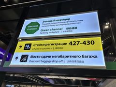 -谢列梅捷沃国际机场