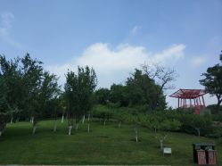 -大望京儿童游乐场