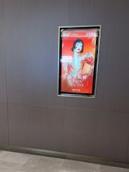 -深圳米兰柏羽医疗美容医院